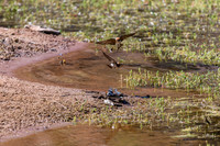 202309_FinkeGeorgeNP_014