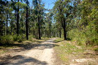 202411_CapeConran_011