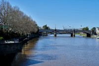 202008_NikonZ7_022