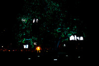 _aus6164jpg_32949463722_o
