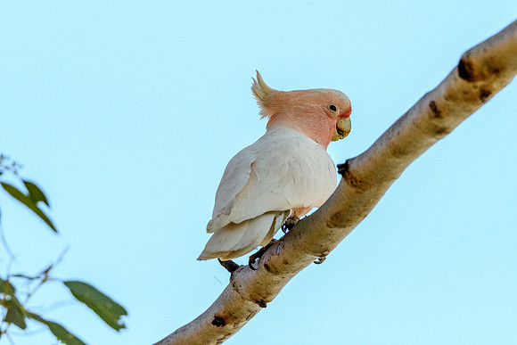 202309_FinkeGeorgeNP_028