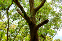 20201225_Hike-020
