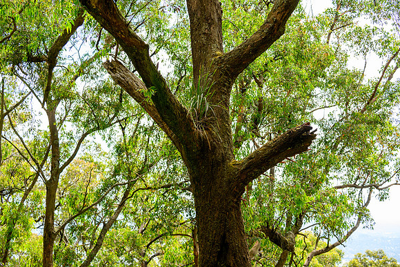 20201225_Hike-020