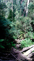 dsc_0134jpg_33331737396_o