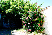 _aus5600jpg_33064062136_o