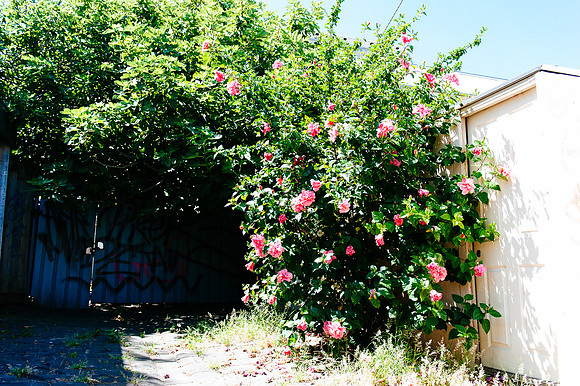 _aus5600jpg_33064062136_o