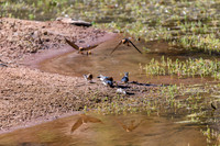 202309_FinkeGeorgeNP_017