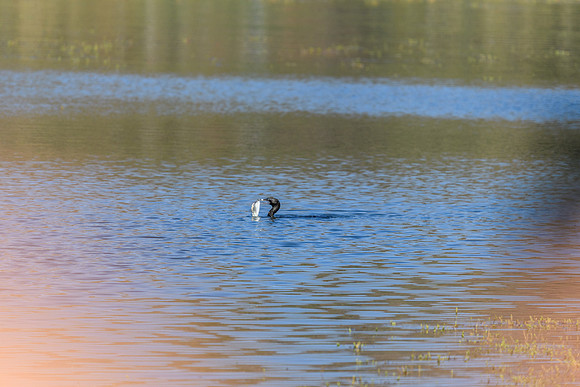 202309_FinkeGeorgeNP_023