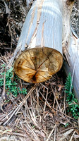 dsc_0151jpg_33216871512_o