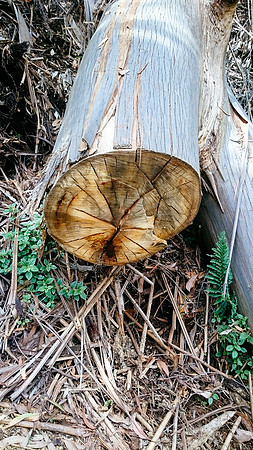 dsc_0151jpg_33216871512_o