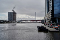 202008_NikonZ7_004