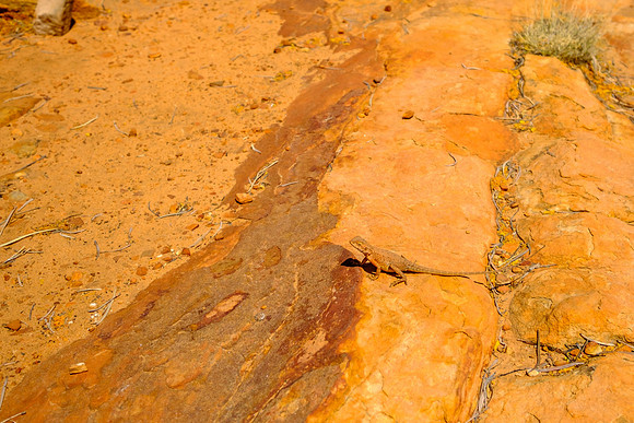 202309_KingsCanyon_046