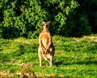 _DSC1550