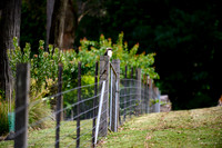 20201225_Hike-016