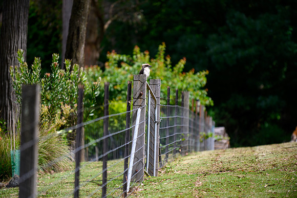 20201225_Hike-016