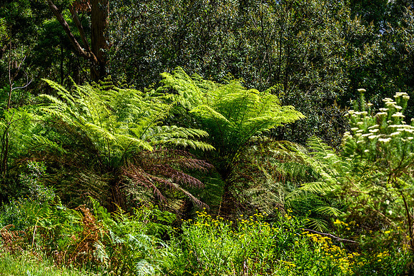 20201225_Hike-021