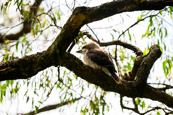 20201225_Hike-006
