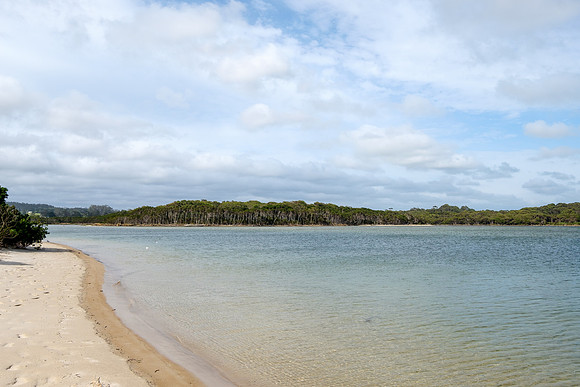 PRO28303