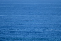 20210710_GOR-002