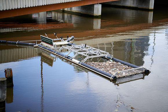 202008_NikonZ7_037
