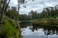 Launceston