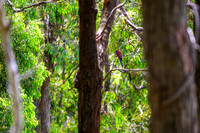 20201225_Hike-017