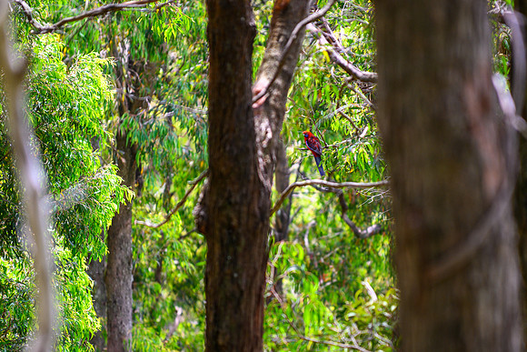 20201225_Hike-017