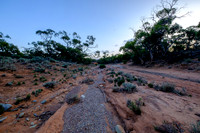 202309_MelbourneAlice_017