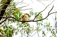 20201225_Hike-013