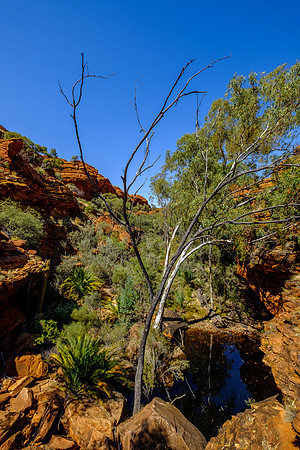 202309_KingsCanyon_042