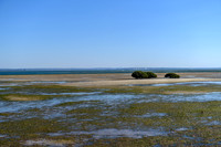 DSC_1983