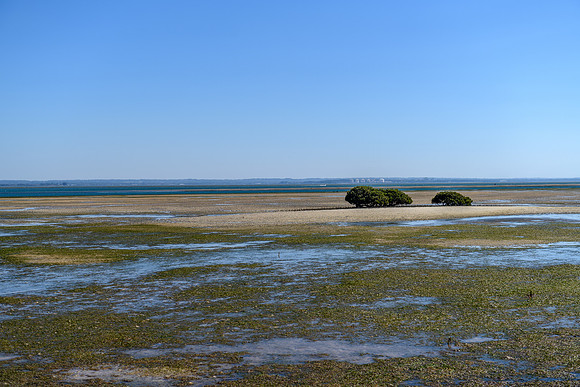 DSC_1983