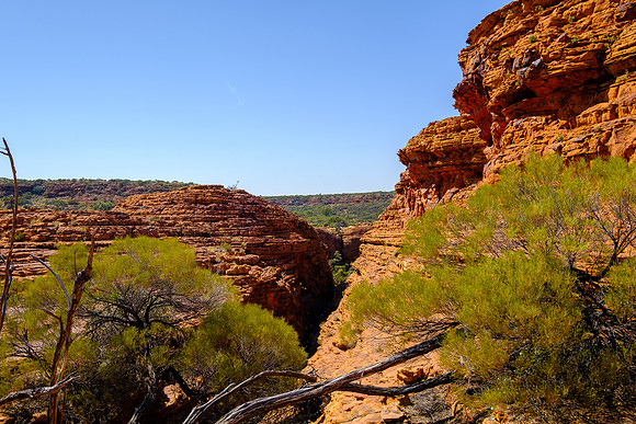 202309_KingsCanyon_031