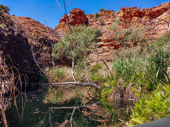 202309_KingsCanyon_053