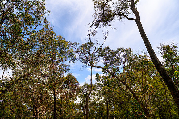20201225_Hike-001