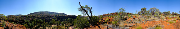 202309_PalmValley_005