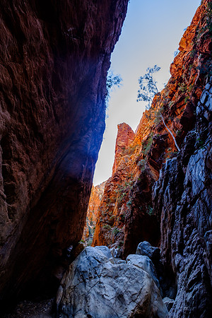 202309_WestMacDonnell_017