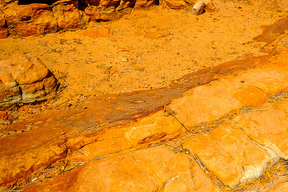 202309_KingsCanyon_045