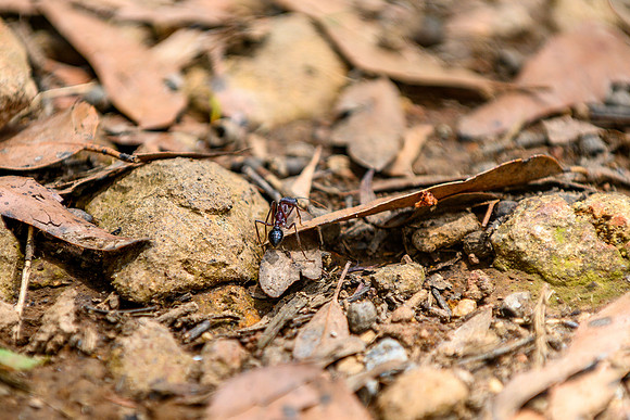 20201225_Hike-008