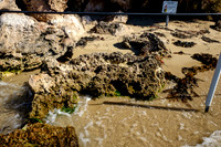 FX706856-cr