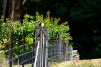 20201225_Hike-015