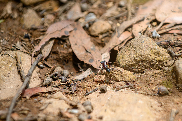 20201225_Hike-007