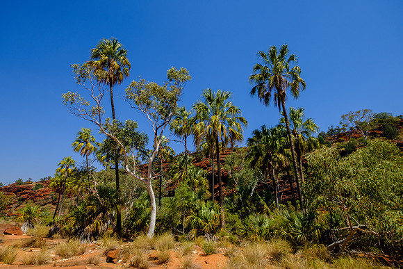 202309_PalmValley_027