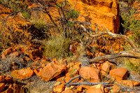 202309_KingsCanyon_010
