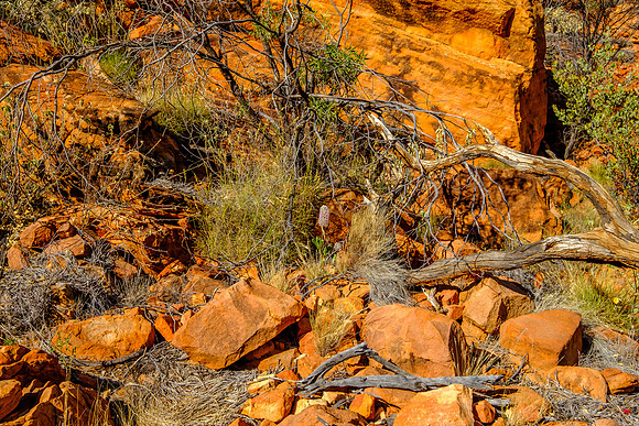 202309_KingsCanyon_010