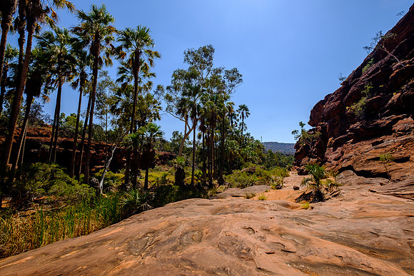 202309_PalmValley_028