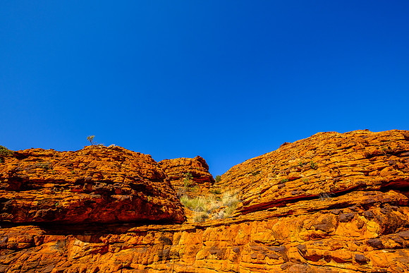 202309_KingsCanyon_028