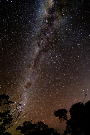 202309_MelbourneAlice_011