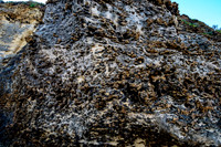 20210710_GOR-013