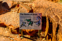202309_KingsCanyon_008